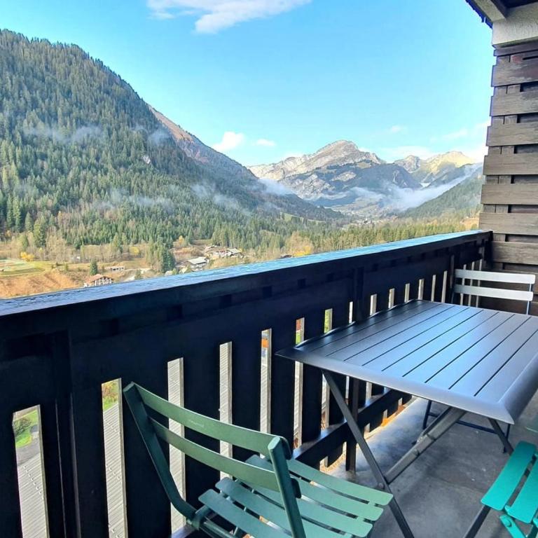Appartement cosy 3 pièces à Châtel - 6 personnes - FR-1-676-237 - Apartment - 13