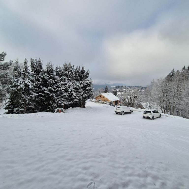 Chalet refait à neuf avec parking privé - 4 pers. - FR-1-836-38 - Chalet - 11