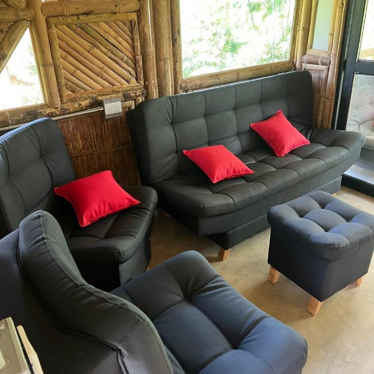 Glamping vista verde cabaña vip - Tienda - 3