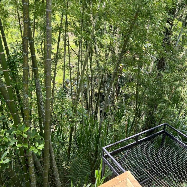 Glamping vista verde cabaña vip - Tienda - 18