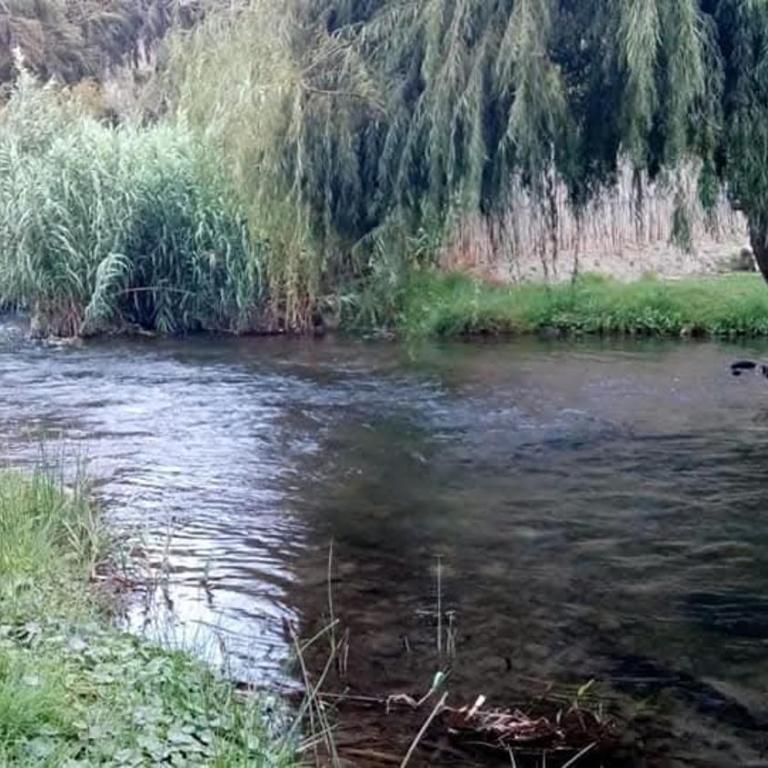 La cabaña del rio Rivadavia - Casa de 2 dormitorios - 2