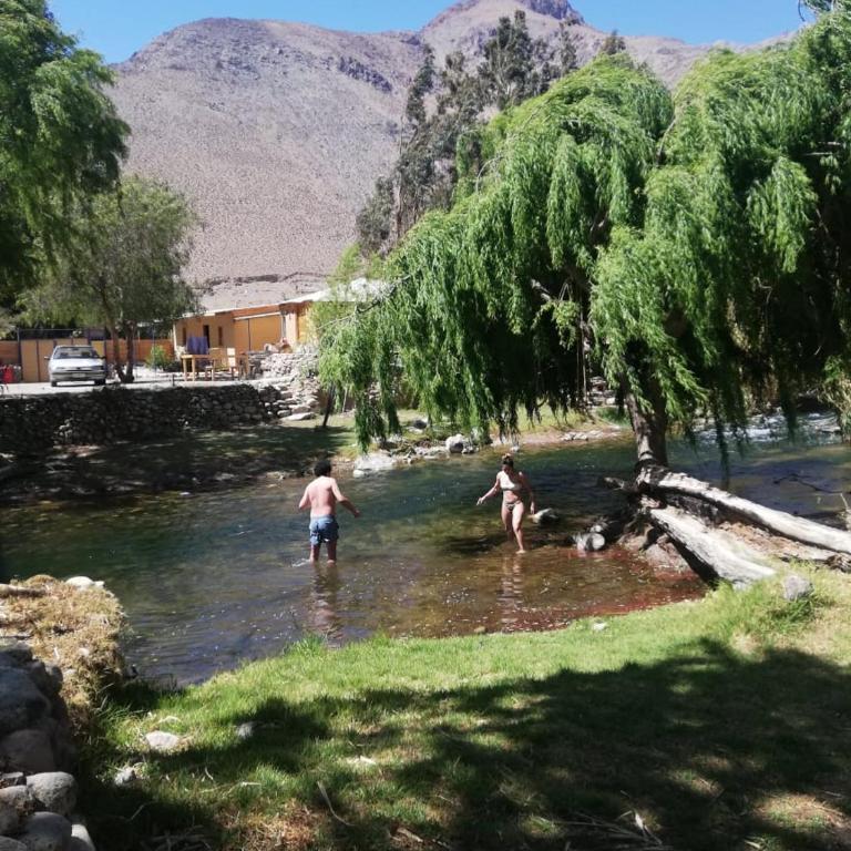 La cabaña del rio Rivadavia - Casa de 2 dormitorios - 6