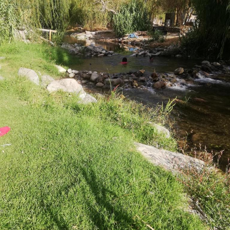 La cabaña del rio Rivadavia - Casa de 2 dormitorios - 8