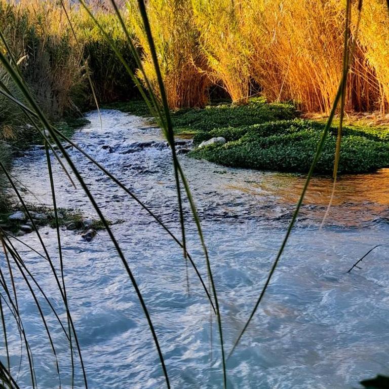La cabaña del rio Rivadavia - Casa de 2 dormitorios - 26