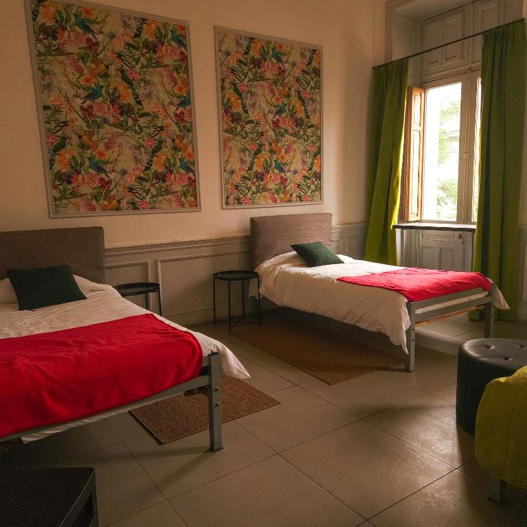 Happy House Hostel - Habitación Cuádruple con baño compartido - 5