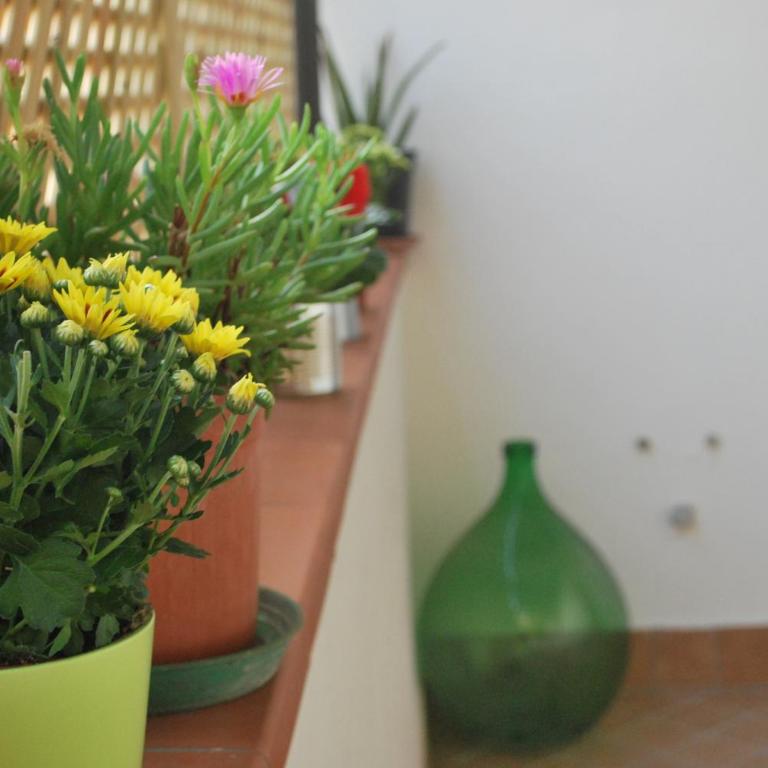 Appartamento Annurca - Appartamento con 2 Camere da Letto - 26