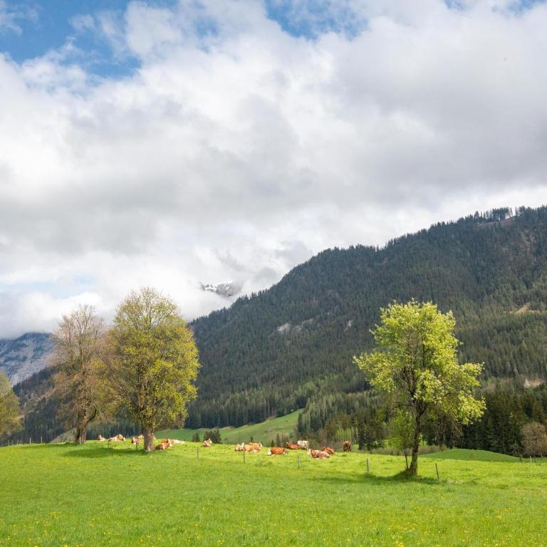 Chalet in Saalfelden near Ski Slopes - Ferienhaus mit 3 Schlafzimmern - 26
