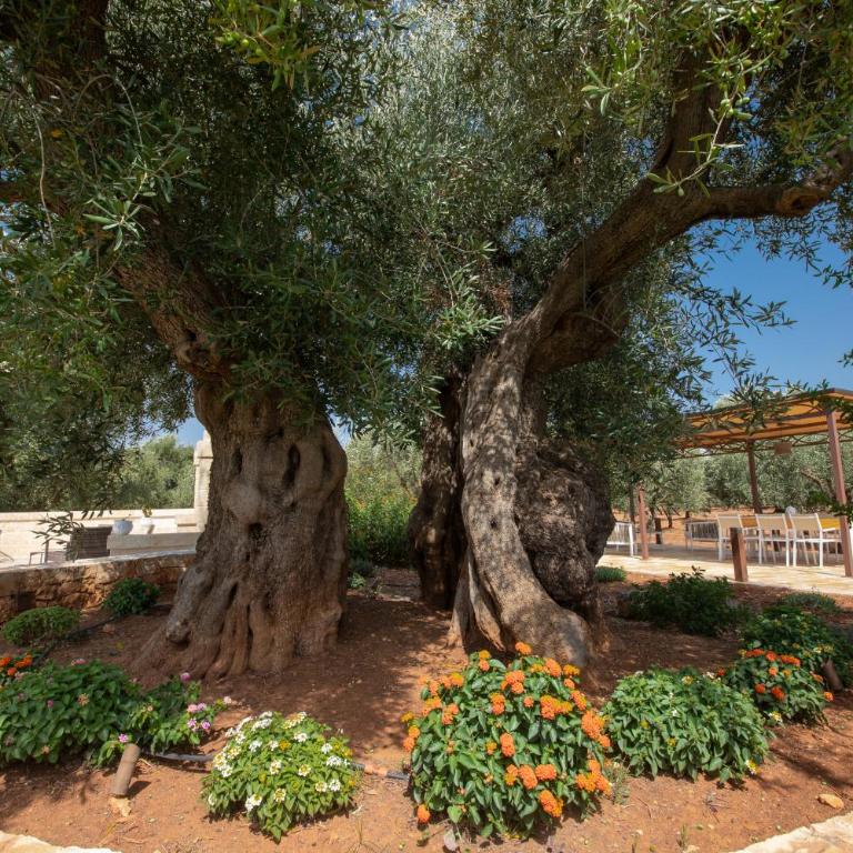 Villa Pietra Bianca by Apulia Hospitality - Villa con 3 Camere da Letto - 10
