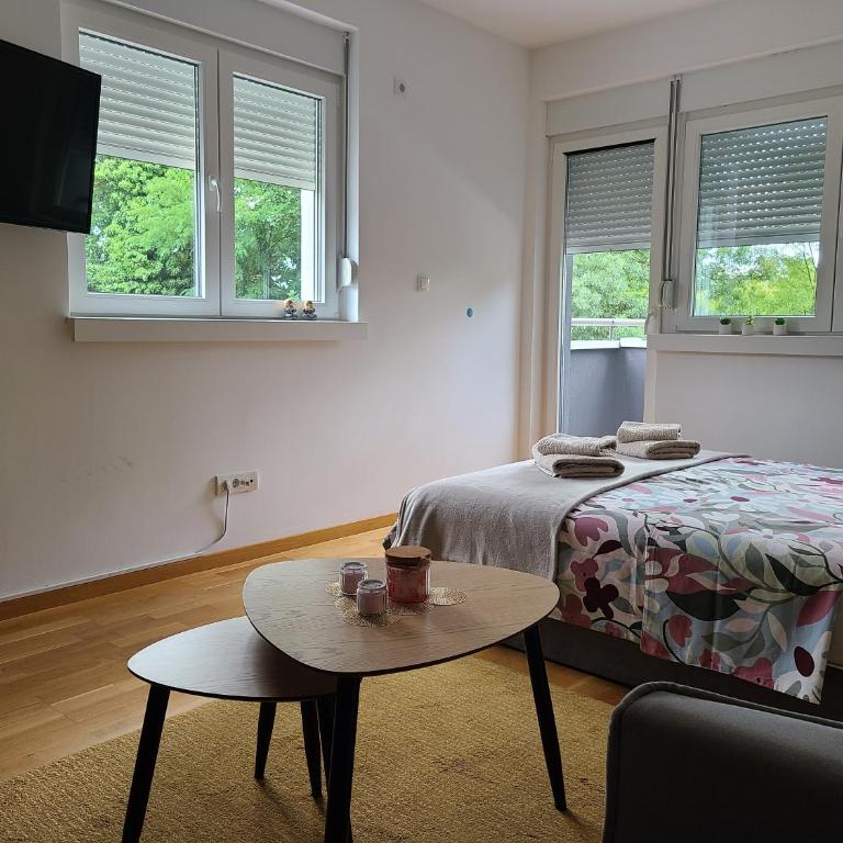 Apartman Živković - One-Bedroom Apartment - 8