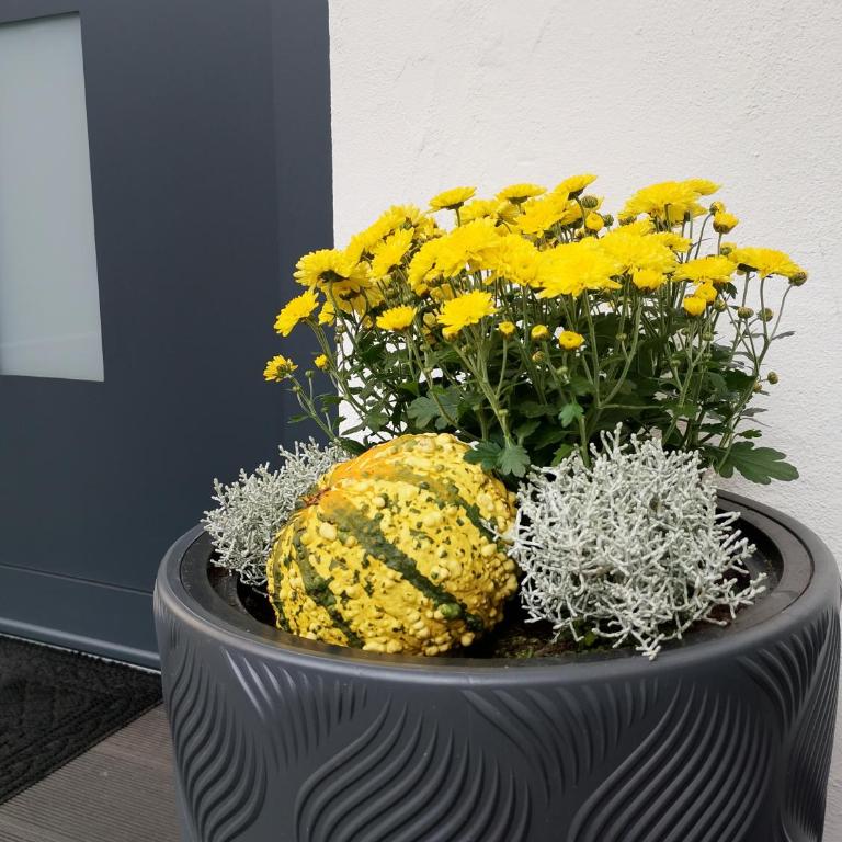 Ferienwohnungen Marcushof - Apartment mit 2 Schlafzimmern - 16