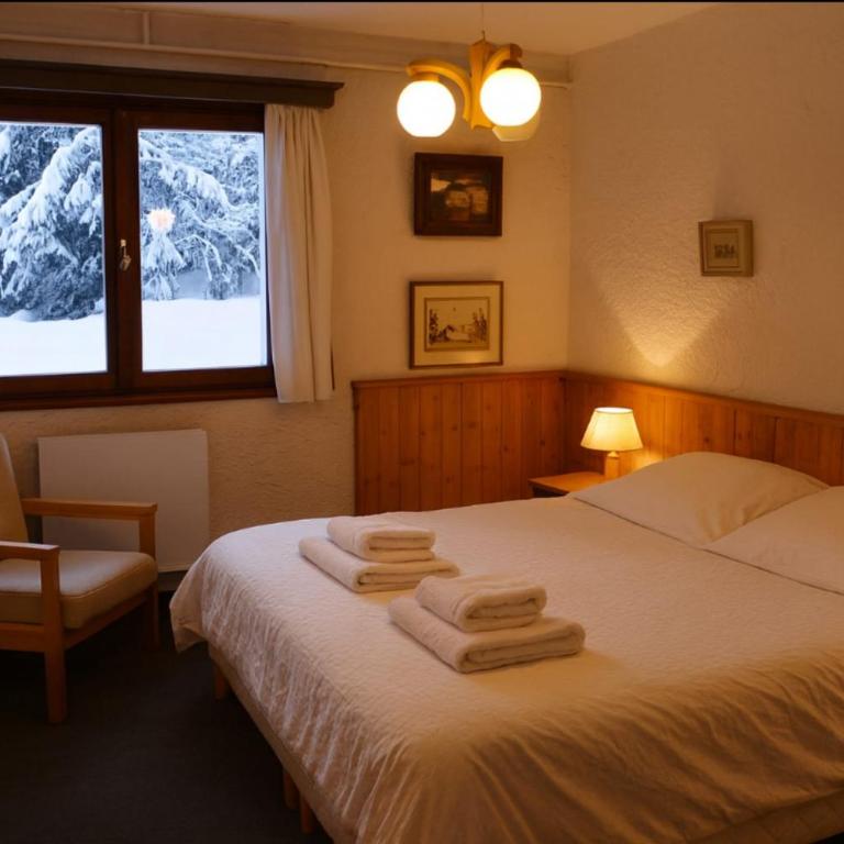 Experience Mont Blanc with your family - Chalet - 13