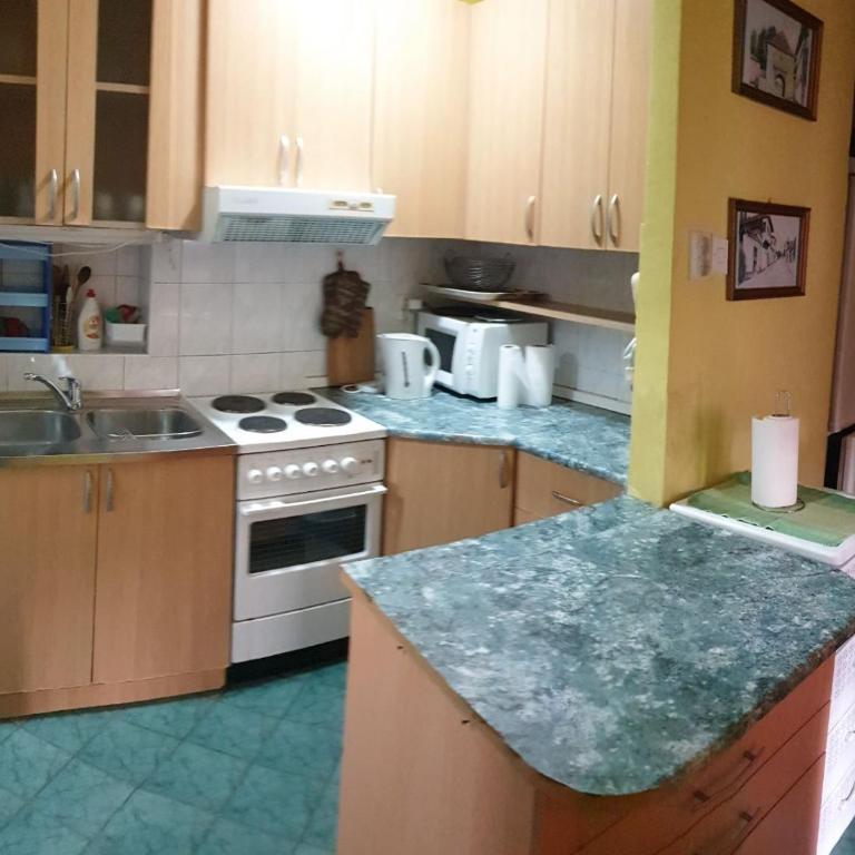 2 Bedroom Apartment, Grbavicka - Apartman sa 2 Spavaće Sobe - 11