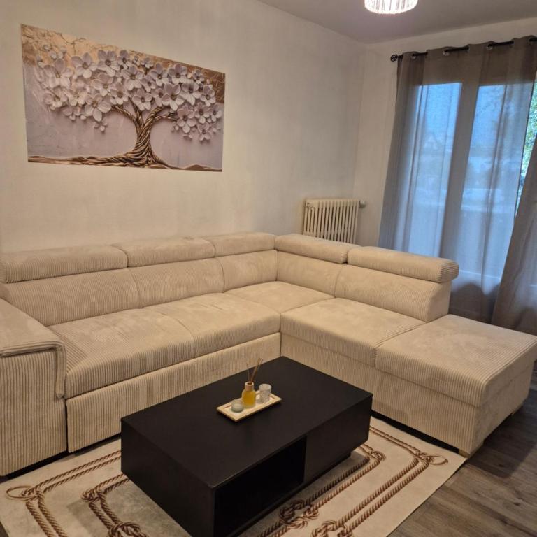 Lanfonnet t3 Annecy - Appartement 2 Chambres - 25