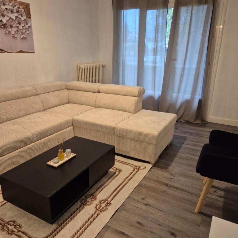 Lanfonnet t3 Annecy - Appartement 2 Chambres - 26