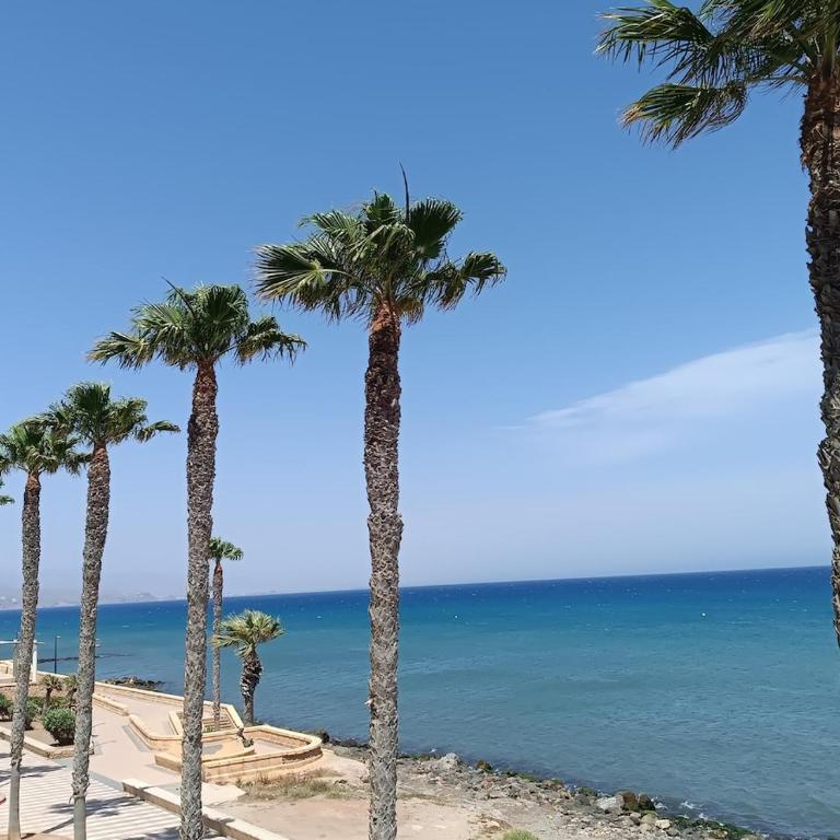 Sea view flat - Apartment mit 1 Schlafzimmer - 1