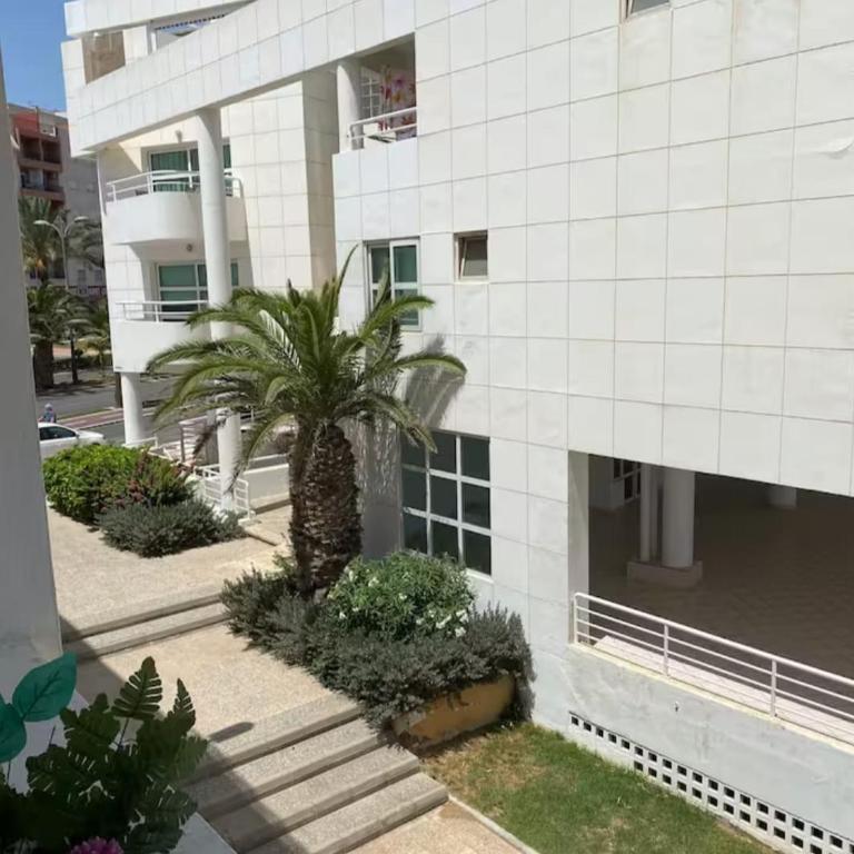Sea view flat - Apartment mit 1 Schlafzimmer - 12