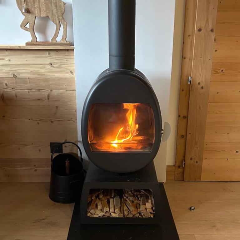 Portes du Soleil T3 "comme un chalet" direct access Morzine Avoriaz - Appartement 2 Chambres - 20