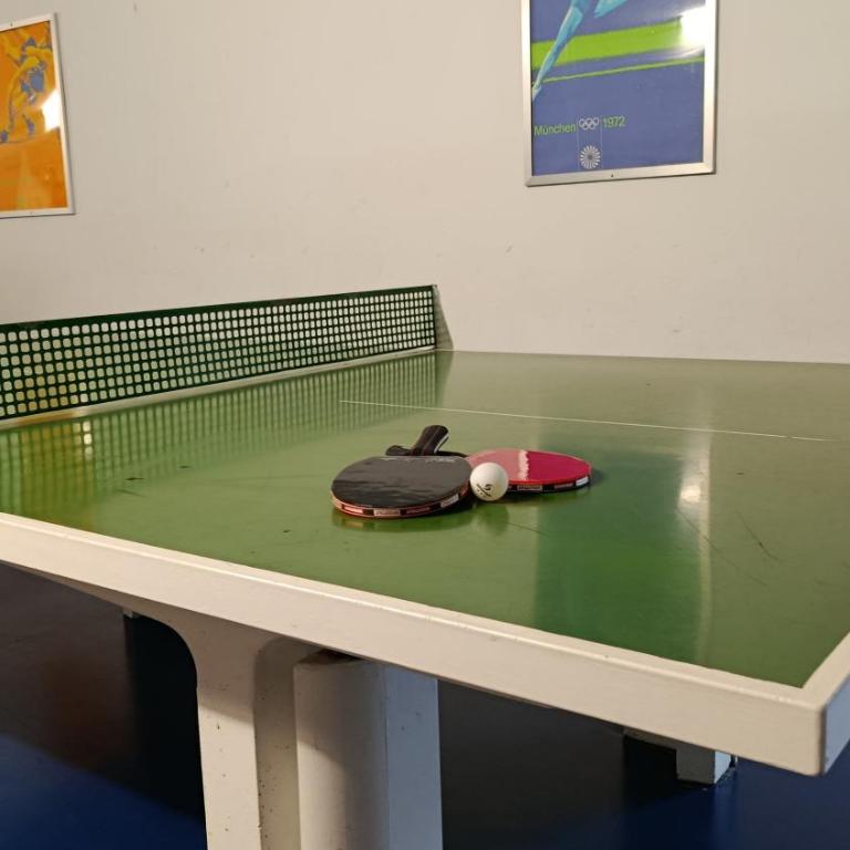 Familienauszeit in Hirschs Dachstüberl mit 2,4m breitem Familienbett, Spiel- und Schlafgalerie für Kinder, aktivCard, Pool, Sauna und Panoramaausblick - Apartment mit 1 Schlafzimmer und Balkon - 30