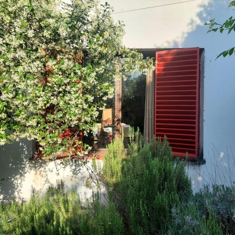 Casa Centrica Mina Clavero - Casa de 3 dormitorios - 6