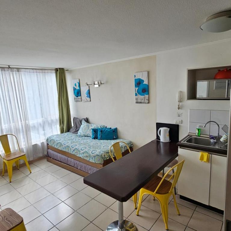 PYB depto Familiar - One-Bedroom Apartment with City View - 4