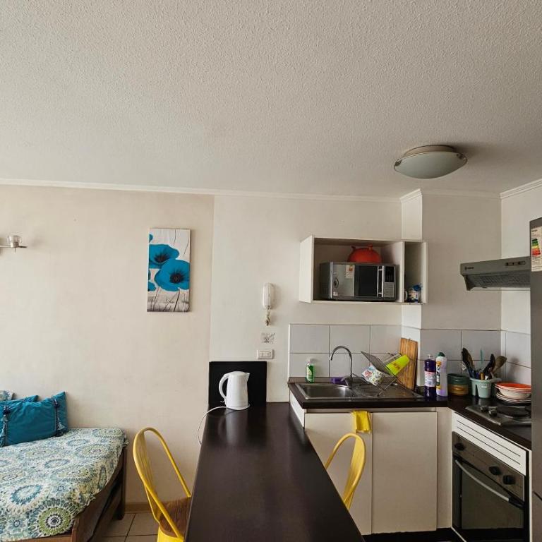 PYB depto Familiar - One-Bedroom Apartment with City View - 5