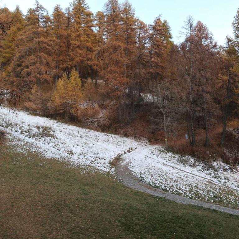 Studio idéal, accès pistes, proche centre et garderie - FR-1-322-212 - Apartamento (4 adultos) - 10