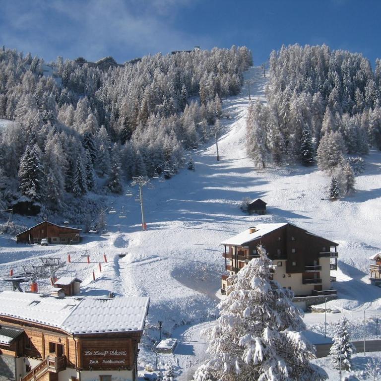 Beautiful 70 m2 apartment Plagne 1800 facing chairlift - Appartement 2 Chambres - 3