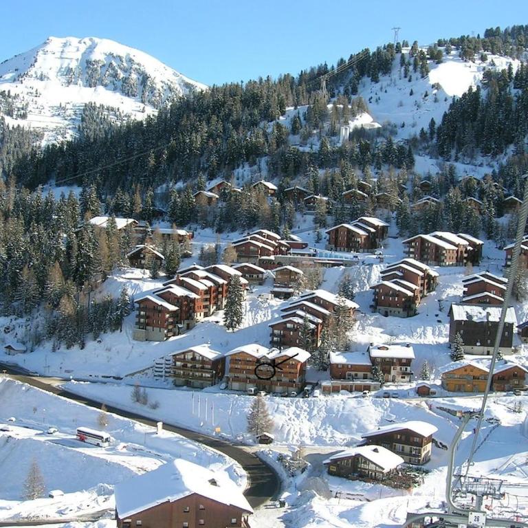 Beautiful 70 m2 apartment Plagne 1800 facing chairlift - Appartement 2 Chambres - 7