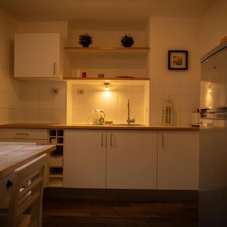 Residence Fink Central Apartments - One-Bedroom Apartment - 1