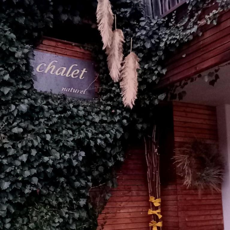 chalet naturel - Chalet - 2