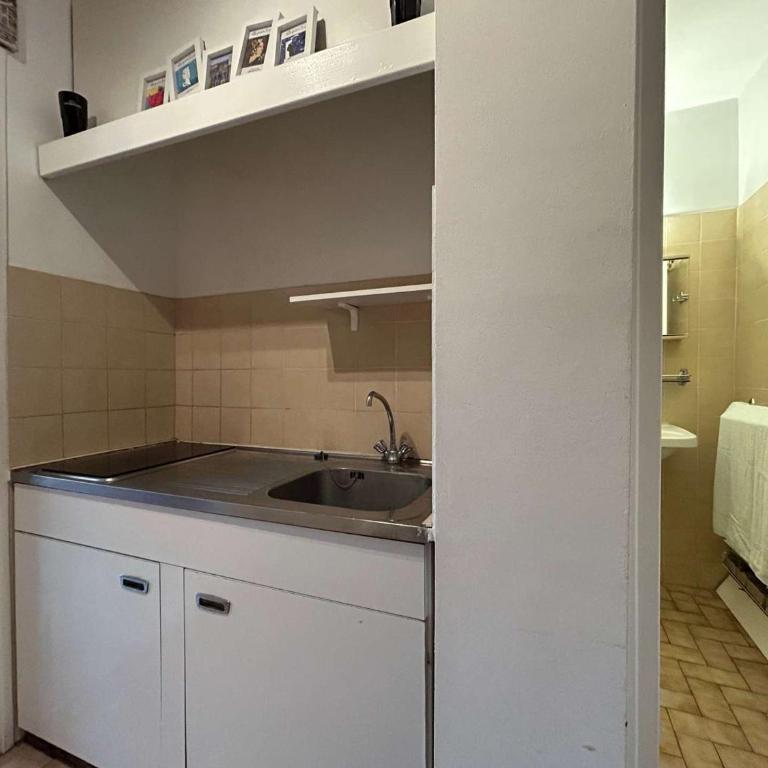 Studio confort 4 pers. à 50m des pistes, Wifi, animaux admis - Appartement 1 Chambre - 13