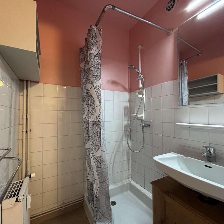 Studio confortable pour 4 à Montgenèvre avec casier à skis, proche commodités. - FR-1-330D-96 - Appartement (4 Adultes) - 6