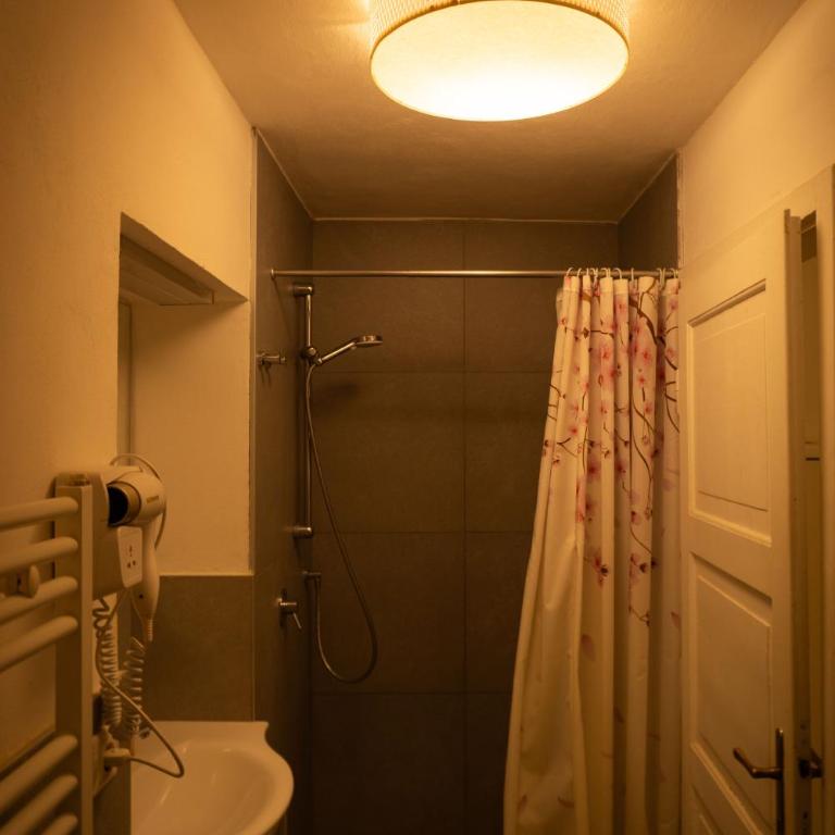 Residence Fink Central Apartments - One-Bedroom Apartment - 4