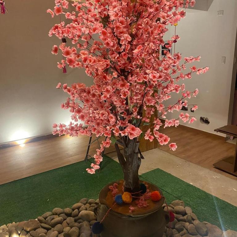 Apus Paradise House Valle Sagrado - Apartamento - 3