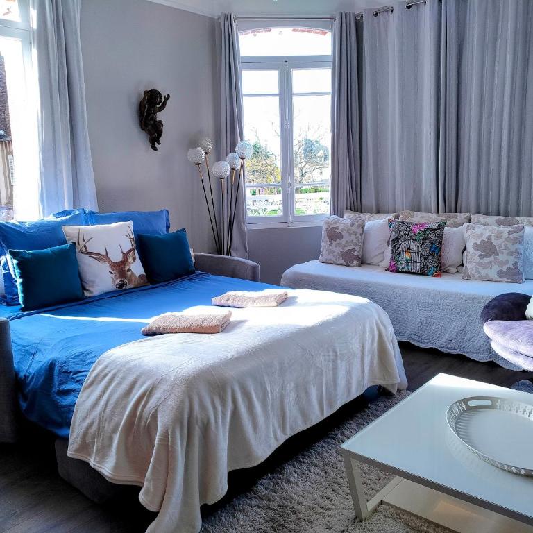 Emplacement exceptionnel Appartement très lumineux au cœur de Cabourg - Apartment mit 1 Schlafzimmer - 14