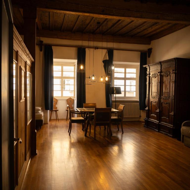 Residence Fink Central Apartments - Deluxe One-Bedroom Apartment with City View - 1