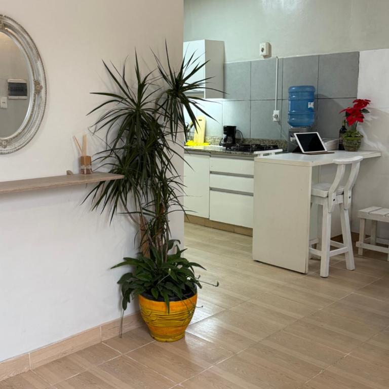 Casa Patio Andaluz - One-Bedroom House - 22