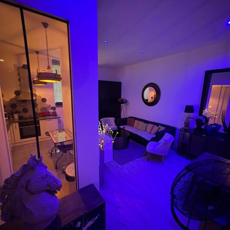 Suite Darcy & Spa - Appartement 1 Chambre avec Baignoire Spa - 7