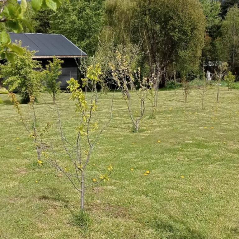 Cabañas Kuyen - Casa de 2 dormitorios - 4