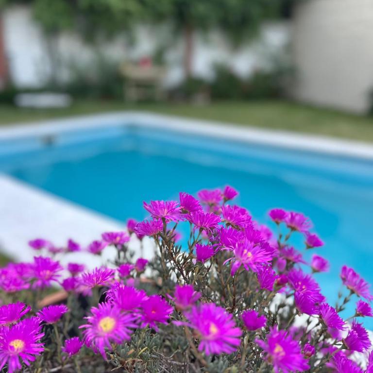 Casa Villa Elisa Rio Tercero - Apartamento - 4