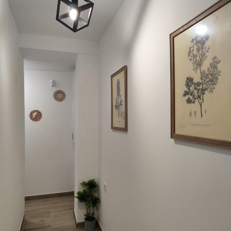 Casa Molino San Antonio - Casa de 3 dormitorios - 11