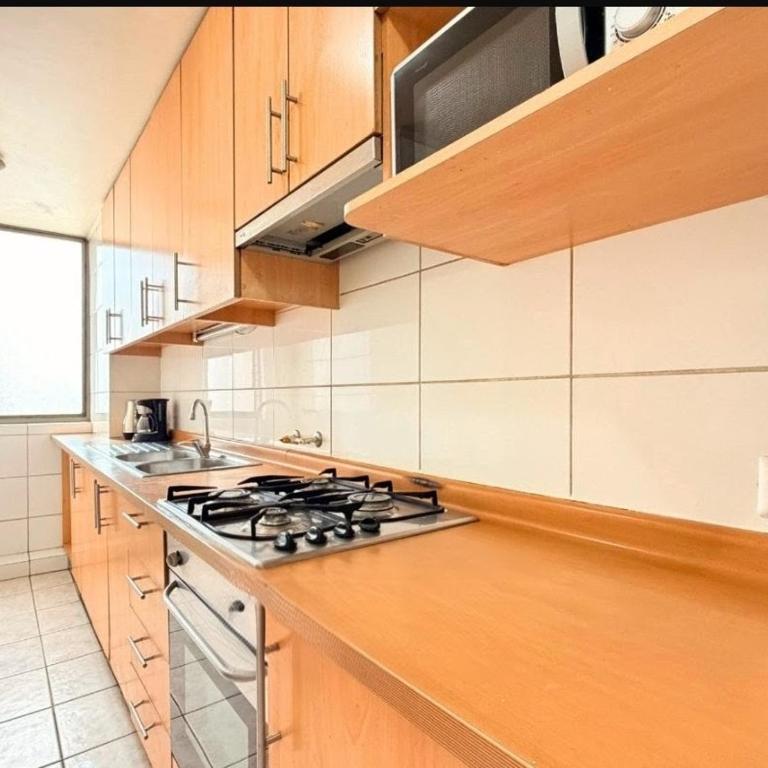 Departamento Avenida Providencia - Apartment with Terrace - 14
