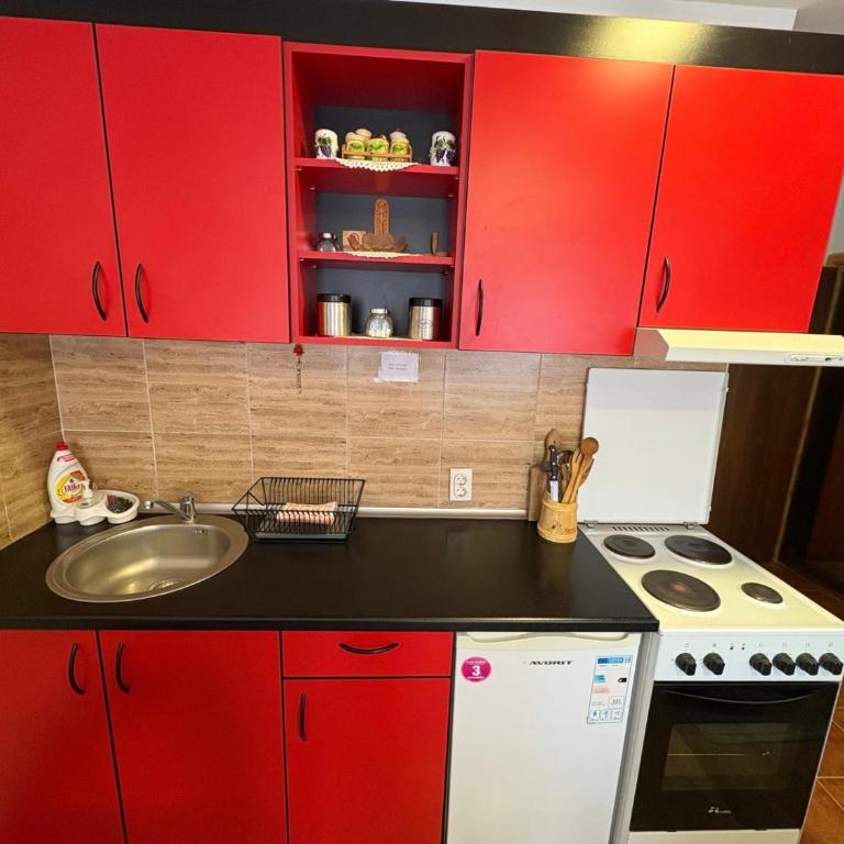 Apartmani Bogdanović - Studio sa Bračnim Krevetom (Queen-size) - 4