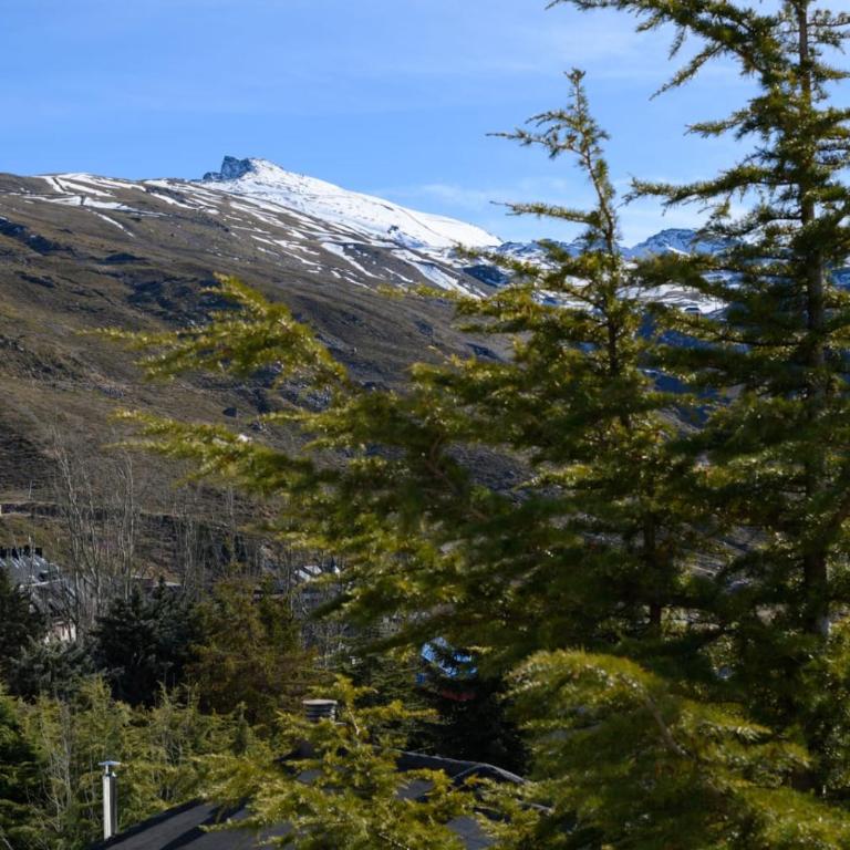 Chalet Makanai by Surynieve - Chalet mit 2 Schlafzimmern - 27