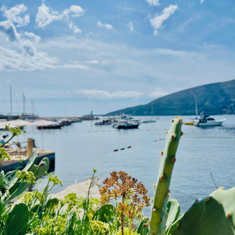 Horizont Herceg Novi - One-Bedroom Apartment - 46