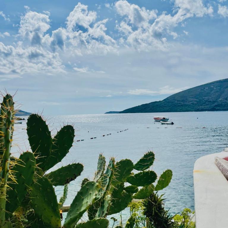 Horizont Herceg Novi - One-Bedroom Apartment - 49