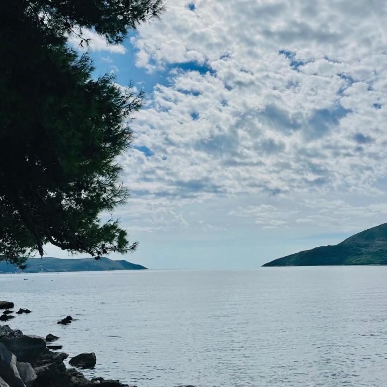 Horizont Herceg Novi - One-Bedroom Apartment - 53