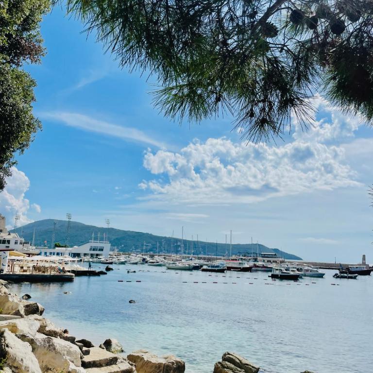Horizont Herceg Novi - One-Bedroom Apartment - 71