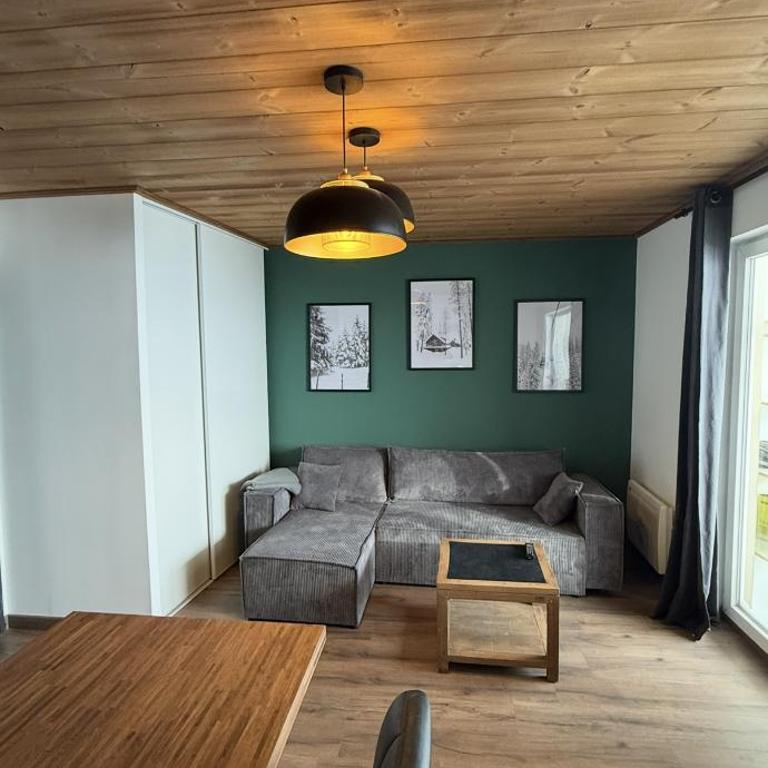 2 Appartements à 300 m des pistes - Appartement 2 Chambres - 4