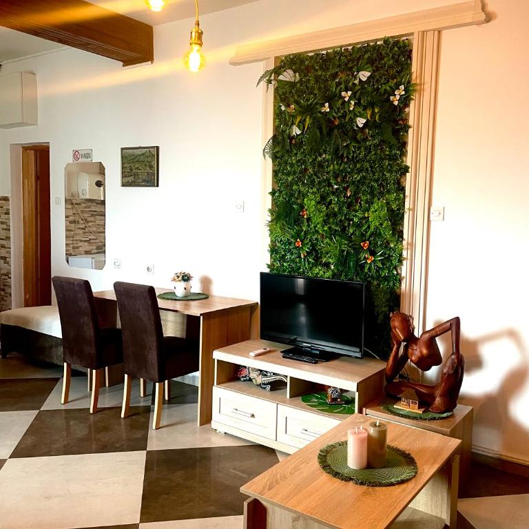 Apartmani LANA Podgorica - Studio with Sofa Bed - 20